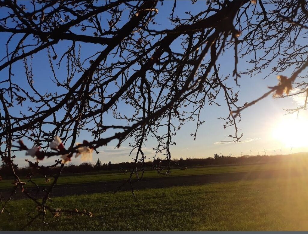 Screenshot_20250629-103234_Maps