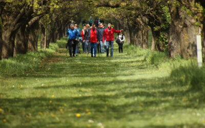 Marillenwandertag 2025 in Kittsee – ein Fest in voller Blüte